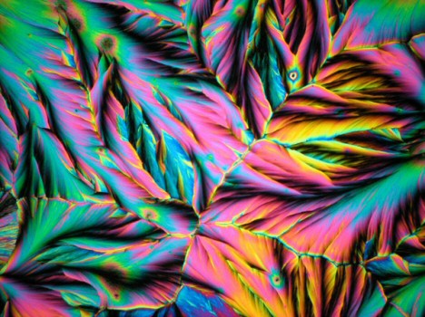 Photo by Spike Walker for Wellcome Images. Click for source