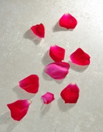 Photo by Flickr user I'll Never Grow Up. Click for source.