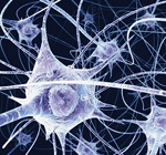 Photo by Wellcome and Flickr user Rebecca-Lee. Click for source.