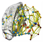 Image from Sociedad Española de NeuroCiencias
